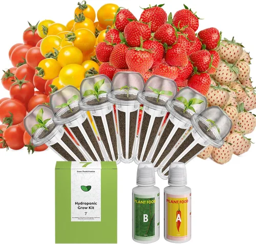 Vista 8 de inbloom Kit de vainas de semillas verdes para ensalada orgánica para AeroGarden, sistema de cultivo hidropónico Ahopegarden, alimento bajo