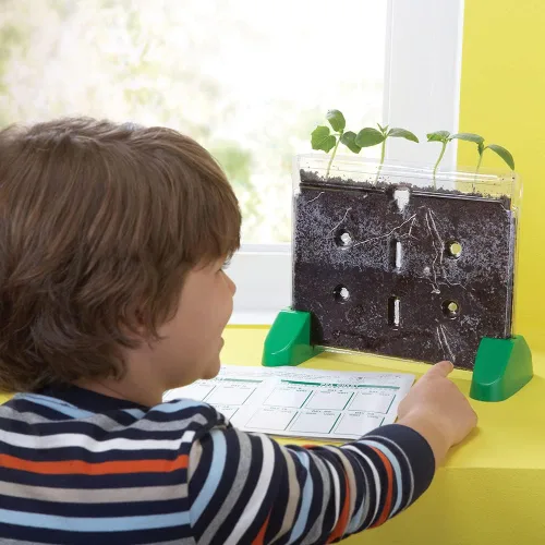 Vista 2 de Ventana Educational Insights, Sprout & Grow Window