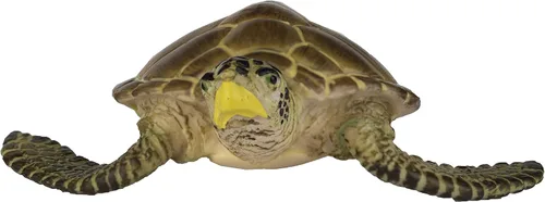 Vista 4 de Safari Ltd. Loggerhead - Figura de tortuga pintada a mano, realista de 3.75 pulgadas, juguete educativo para niños, niñas y niños a partir de 3 años
