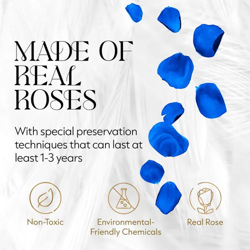 Vista 4 de GLAMOUR BOUTIQUE Flowers Forever - Caja de regalo, 12 rosas preservadas reales en caja blanca de terciopelo, regalo floral para esposa, mamá o ella