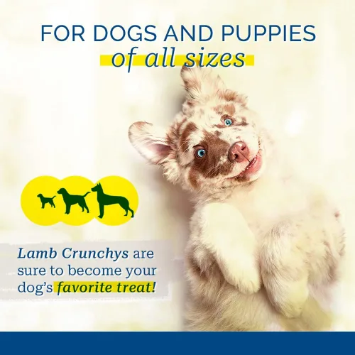 Vista 5 de PCI Pet Center Inc. Lamb Crunchys - Golosinas crudas deshidratadas para perros, paquete de 3 onzas