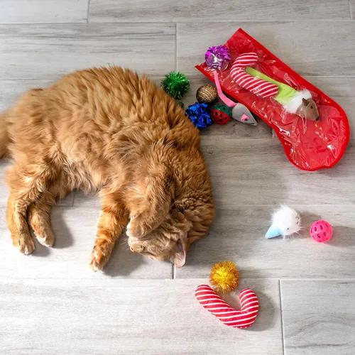 Vista 7 de Midlee Juego de regalo de juguete para gatos con calcetines navideños (14 juguetes) - Bastones de caramelo, campanas, ratones y gatitos
