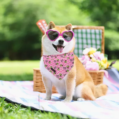 Vista 4 de ARING PET Bandana de abeja para perros, bandana de abejas amarillas rosas para mascotas, bufanda triangular, baberos para cachorros, pequeños Rosa
