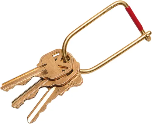 Vista 6 de Craighill Wilson Keyring - 2" Carabiner Keychain Clip, Key Ring for Car Keys, Lightweight, D Ring Key Organizer