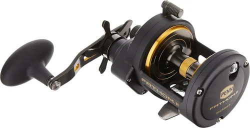 Vista 3 de Penn Fathom II Star Drag - Carrete de pesca convencional, oro negro, 25N