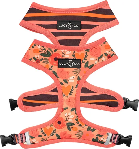 Vista 27 de Lucy & Co. Lindo arnés reversible para perros con cuello halter para caminar, el mejor diseño de arneses para mascotas XS a XL, chaleco acolchado