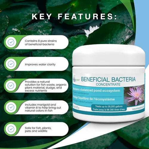 Vista 3 de Aquascape - Bacterias secas y beneficiosas para las características del estanque y del agua., Blanco