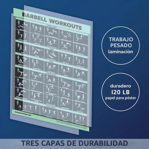 Vista 3 de Palace Learning Juego de 2 pósteres de ejercicios con mancuernas y barra laminada, juego de 2 cuadros laminados, rutina de ejercicio con mancuernas