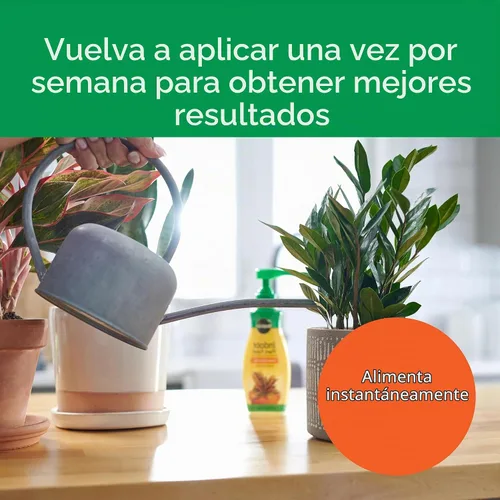 Vista 6 de Alimento para plantas de interior, 8 onzas.