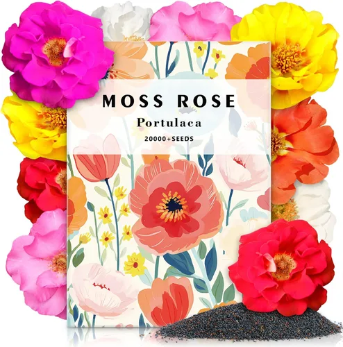 Vista 15 de LUOJIBIE Cosmos Seeds, más de 4,500 semillas de flores cosmos para 2026, semillas de flores silvestres para plantar jardín al aire libre, mezcla