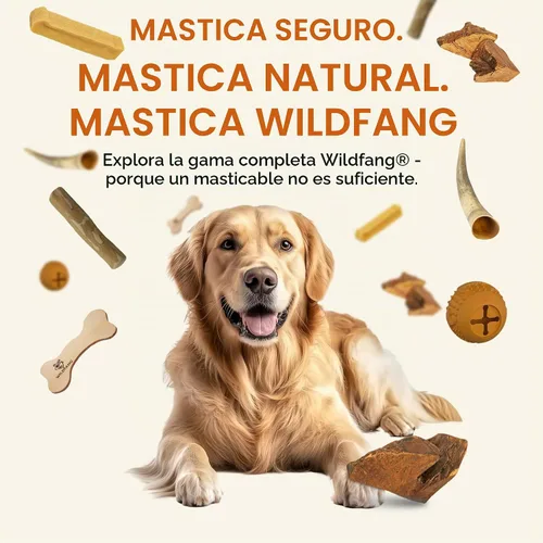 Vista 6 de Wildfang Raíz masticable de madera de brezo, pequeño, sin astillas, juguetes masticables para perros masticadores agresivos, juguetes naturales