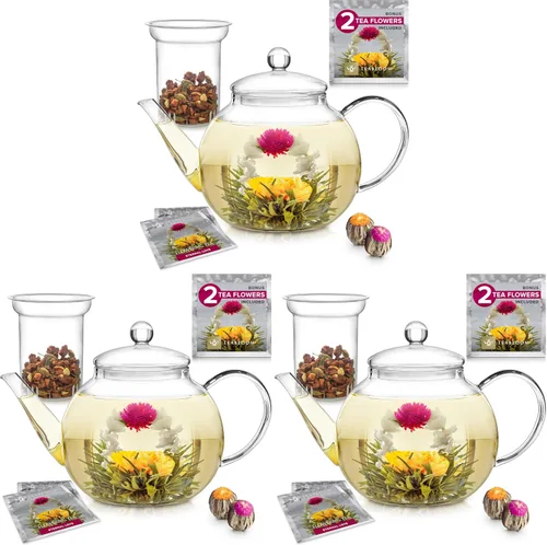 Vista 11 de Tetera de vidrio Teabloom segura para estufa y microondas con infusor de té de vidrio extraíble – Incluye 2 tés florecientes – Hervidor de té