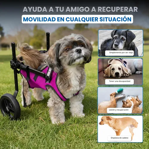 Vista 2 de Silla de ruedas para perros para patas traseras, carrito para silla de ruedas para perros, sillas de ruedas para perros y gatos con patas traseras