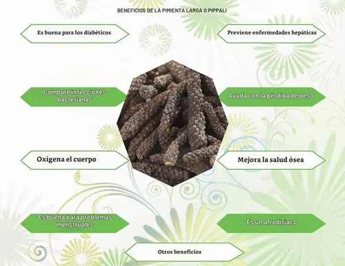 Vista 6 de AYURVEDASHREE Pimienta larga india entera prémium (Pippali) 3.53 oz - Auténtico pipli, thippili y pimienta negra larga