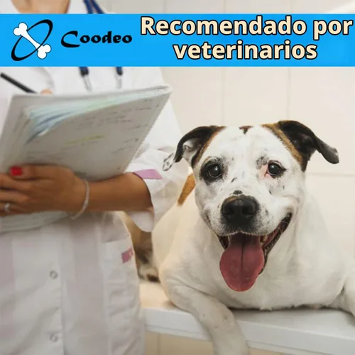 Vista 4 de Coodeo Soporte de espalda para perros para artritis, soporte de espalda para mascotas para IVDD, protector de espalda ayuda a aliviar el dolor Negro