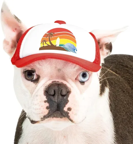 Vista 41 de Sunset Collection, sombreros de camionero de PupLid para perros (XXS) Protección solar elegante de alta calidad para el perro moderno, ajustable