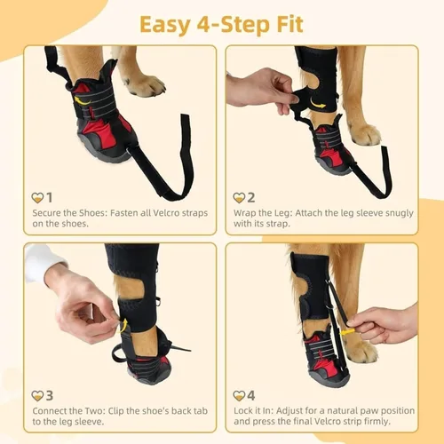 Vista 4 de Soporte de pie con correa (sin soporte para botas para nudillos) para perros: rodilleras para perros, zapatos correctivos para levantar los dedos