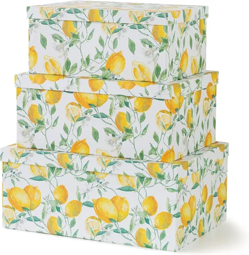 Vista 14 de Soul & Lane Cajas de almacenamiento de cartón decorativas con tapas para decoración y organización del hogar, juego de 3 cajas grandes de recuerdo
