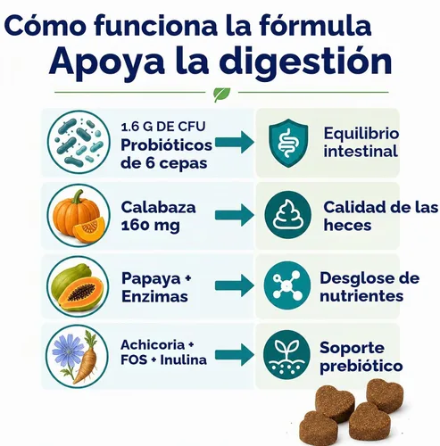 Vista 3 de Probióticos masticables suaves para perros con 160 mg de enzimas de calabaza y papaya – 90 unidades – Soporte intestinal 4 en 1 para comodidad