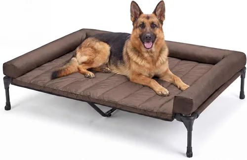 Vista 26 de Veehoo Cama Elevada Refrescante para Perro Añade Cojín Bolster Extraíble Impermeable Alfombrilla, Cuna Elevada para Mascotas con Malla Teslin