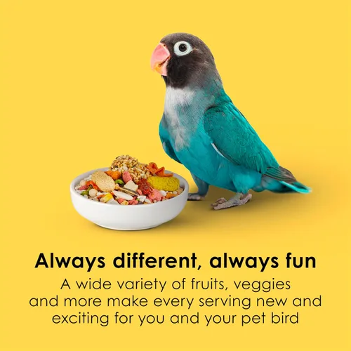 Vista 3 de Kaytee Fiesta Big Bites Small Parrot & Conure - Alimento nutritivo y divertido, apoya la piel, las plumas, la digestión, la salud del cerebro