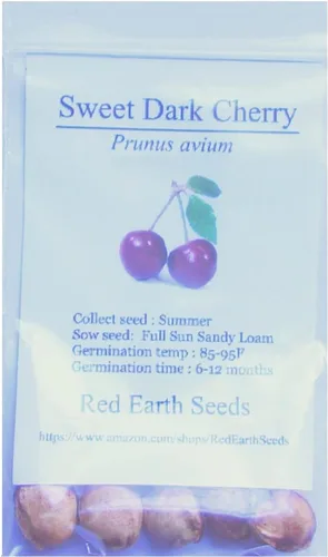 Vista 2 de 5 semillas de cereza Sweet Dark Bing - Prunus avium (cultivadas orgánicamente)