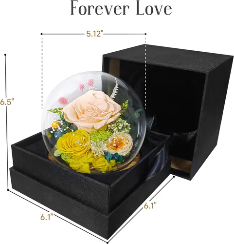 Vista 9 de Flores preservadas para mamá, rosas champán preservadas en cúpula de cristal con luz LED para novia, flores reales eternas para mujeres, regalo