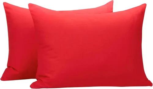 Vista 24 de NTBAY Juego de 2 fundas de almohada con cremallera para niños pequeños, 100% microfibra cepillada de 13 x 18 pulgadas, súper suaves y acogedoras