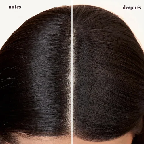 Vista 7 de Pureology Champú Style + Protect Refresh & Go Dry Para cabello teñido Vegano
