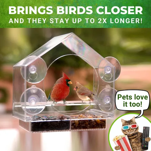 Vista 3 de Nature Everywhere. Comedero de aves para vidrio (tamaño grande) Edición de regalo para días feriados Incluye una charola de fácil remoción, 4