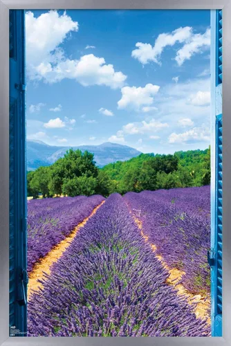 Vista 15 de Trends International Póster de pared de campo de lavanda, 14.725 x 22.375 pulgadas, versión enmarcada de madera de granero Versión enmarcada Barnwood