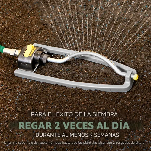 Vista 7 de Scotts Turf Builder - Mezcla de sombra densa para semillas de césped, 2.4