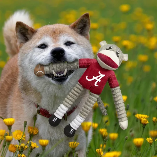 Vista 3 de Littlearth NCAA Unisex NCAA Sock Monkey and Flying Disc Pet Toy Combo Set