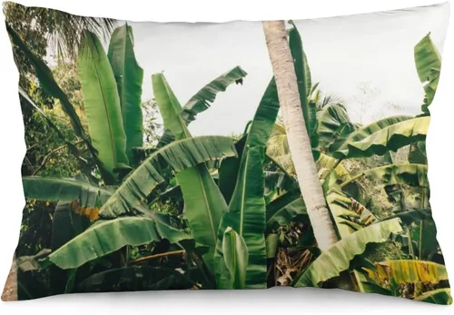 Vista 25 de Protector de almohada de playa con palmeras tropicales de 16 x 14 pulgadas, palmeras de playa, paisaje marino costero, decorativo, rectangular