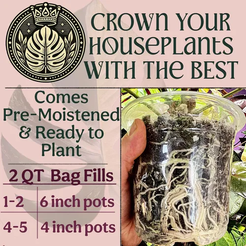 Vista 5 de Craft - Mezcla orgánica para macetas para plantas de interior, tierra para plantas de casa Elite, tierra gruesa y bien drenante para todas