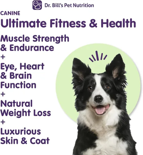 Vista 2 de Dr. Bill's Canine Ultimate Fitness & Health - Multivitamínico diario para perros para energía, longevidad y apoyo de todo el cuerpo - Suplemento