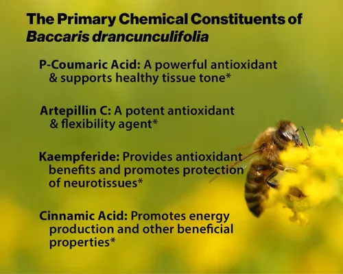 Vista 5 de Dr. Ohhira's Propolis Plus 60 cápsulas con propóleo verde brasileño, extracto probiótico y astaxantina