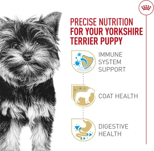 Vista 4 de Royal Canin Breed Health Nutrition Yorkshire Terrier Cachorro Alimento Seco para Perros, Bolsa de 2.5 lb