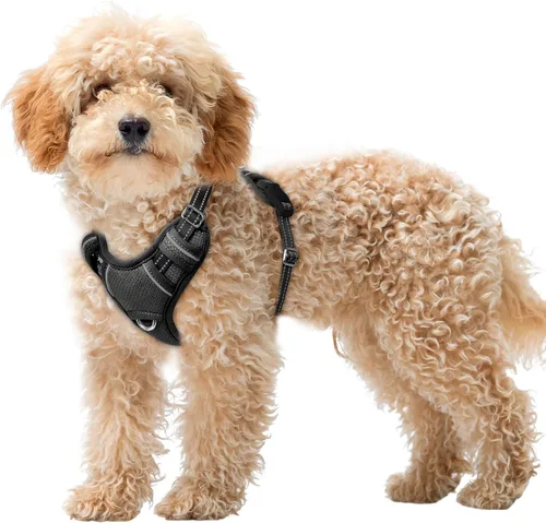 Vista 93 de BARKBAY Arnés para Perro Sin Tirones Talla Grande Arnés Reflectante para Perro con Clip Frontal y Asa de Control Fácil para Caminar Entrenar Correr