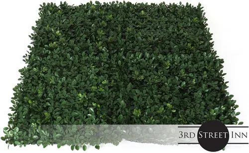 Vista 4 de 3rd Street Inn Paneles de pared de vegetación artificial para privacidad, paquete de 2