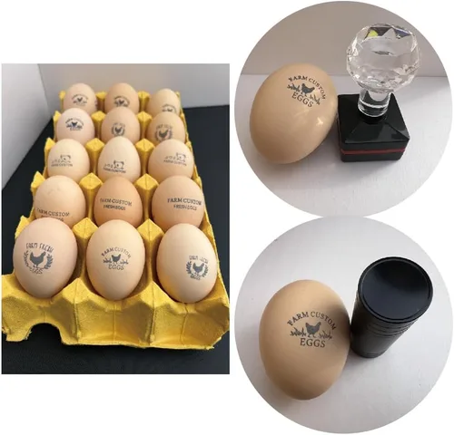 Vista 5 de Sellos personalizados de huevo de pato para huevos frescos con tinta de secado rápido, sellos personalizados de cartón de huevos de 0.65/0.8/1
