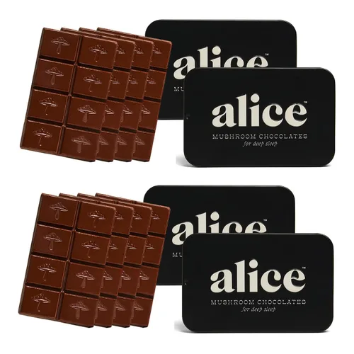 Vista 13 de Alice Mushrooms Brainstorm Chocolates de Hongos Bocados Energéticos para Concentración, Claridad y Función Cognitiva Melena de León, Hongos