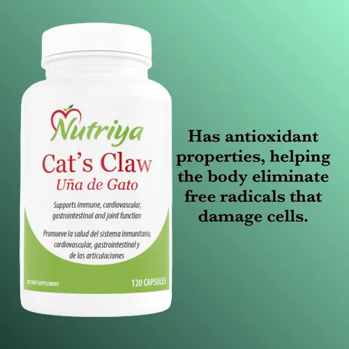 Vista 6 de Nutriya Uña de Gato (Uña de Gato) - Uncaria Tomentosa - Potente antioxidante que apoya la salud de las articulaciones, cardiovascular, digestivo