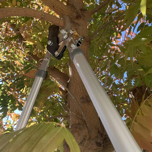 Vista 4 de MLTOOLS L8230 - L8230 - L8230 - Lopper extensible de 39.5 pulgadas para jardinería, mango largo extensible de 39.5 pulgadas, corta ramas de 1-3/4