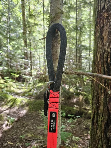 Vista 6 de Correa de perro resistente de 6 pies – Broche de liberación rápida, mango Dyneema, impermeable, 316 inoxidable, hecho a mano en Estados Unidos Negro