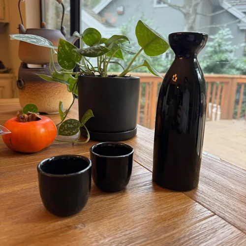 Vista 4 de Juego de 4 tazas de sake de porcelana de estilo japonés, juego de tazas pequeñas de cerámica para sake caliente o frío, tazas de sake tradicionales