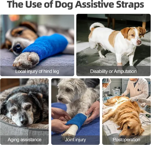 Vista 5 de Arnés acolchado suave ajustable para patas traseras para perros grandes, para patas traseras débiles, lesionadas o discapacitadas, ayuda a apoyar a