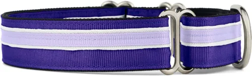 Vista 9 de If It Barks Collar Martingala de 1 pulgada con hebilla de liberación rápida, ajustable, fabricado en Estados Unidos, pequeño, arándano