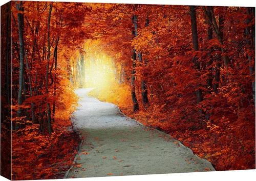 Vista 11 de SIGNFORD - Cuadro en lienzo para pared, silueta de bosque con estrellas azul marino y verde azulado, naturaleza, fotografía, realismo, decoración