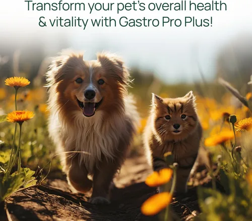 Vista 4 de pawTree Gastro Pro Plus® para perros y gatos - Probióticos, prebióticos y enzimas digestivas - para estómago sensible, problemas digestivos, heces